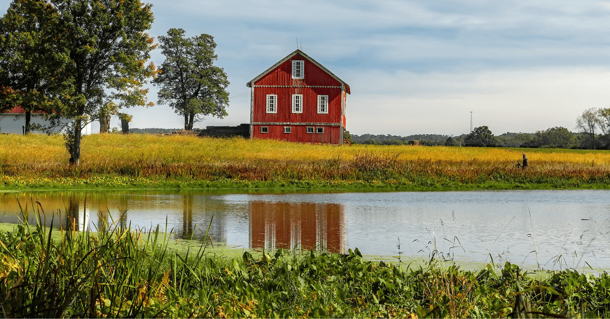 Featured Image for The Basic Steps of Building a Fishing Pond